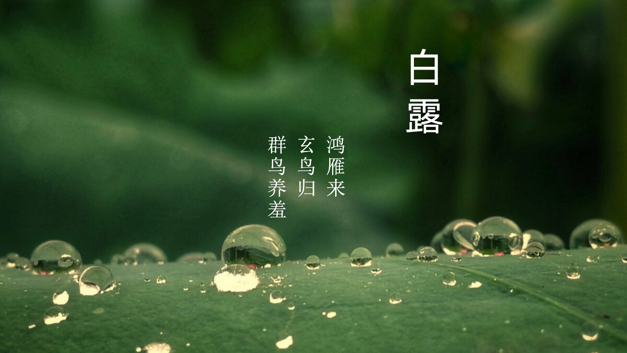 白露