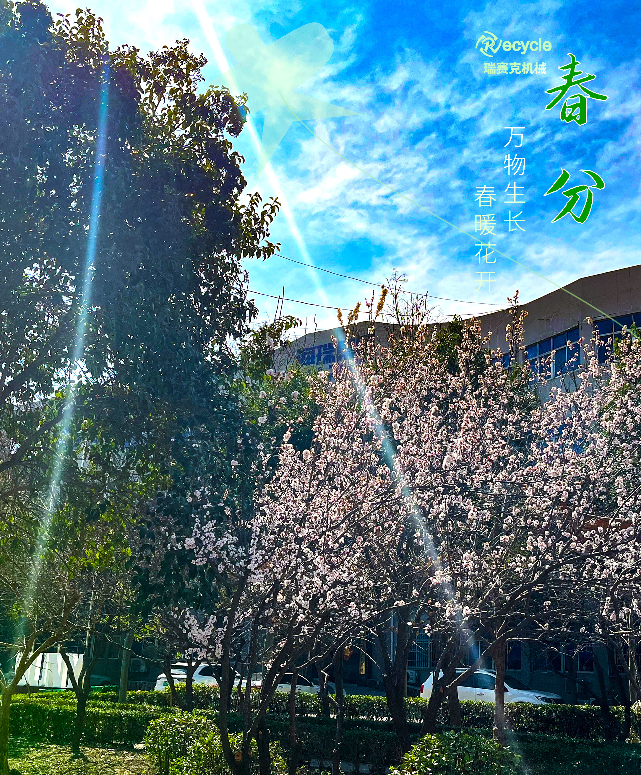今日春分